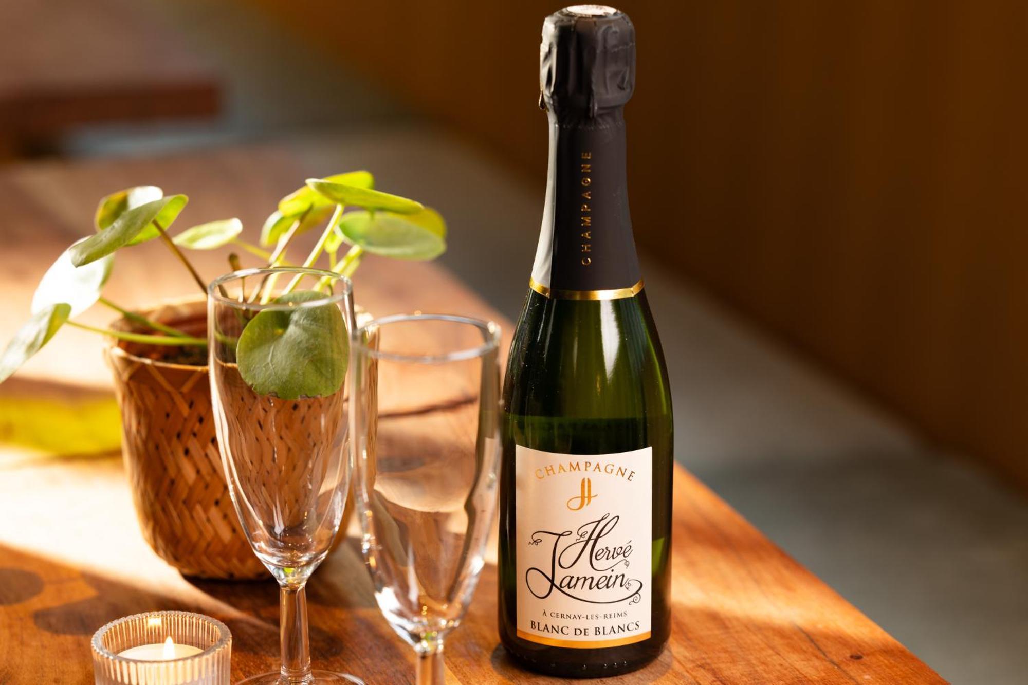 Wyld Saint Germain Hotel